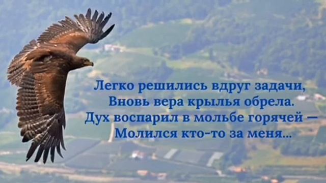 VID_20250615_175356_177.mp4