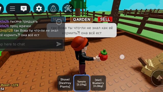 Как приручить собаку в вырасти сад