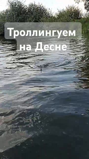 троллинг на щуку #рыбалка #троллинг #щука #улов #видеорыбалка #fishing