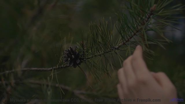 Эта музыка превратит любое путешествие в романтическое приключение - Remain Straight Faced -- Small