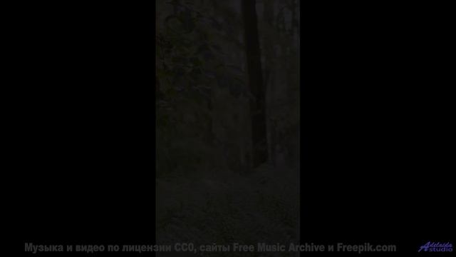 Музыка и виды вместе создают чистую магию - Its Time -- Jeremy Allingham -- Run Wild