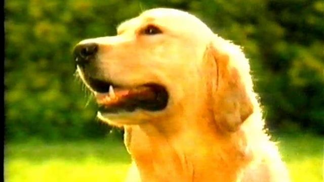 Реклама+анонс на "ТВЦ"(3). 14.02.2004г.