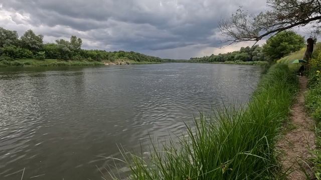 Донки с берега. Капризный Дон.