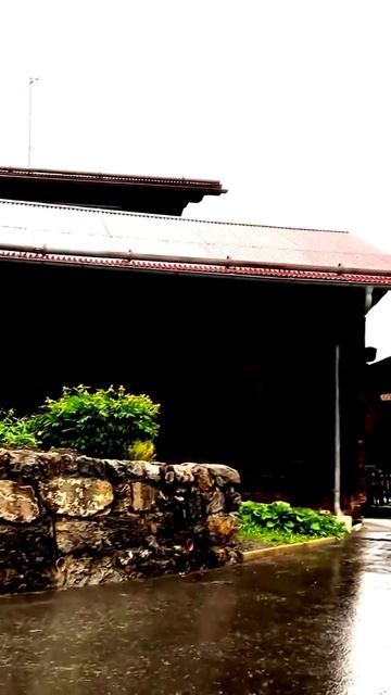 Запечатленные моменты