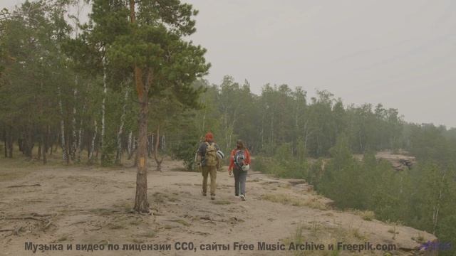 Музыка, написанная для искусственных эмоций - сможете ли вы её почувствовать - Garbage Removal (ID 7
