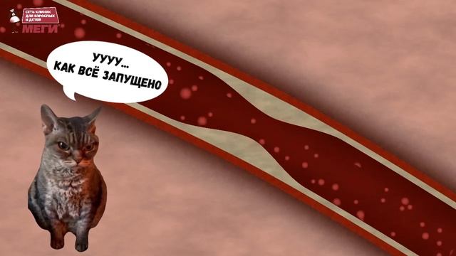 Это обследование направлено на самые опасные мужские патологии