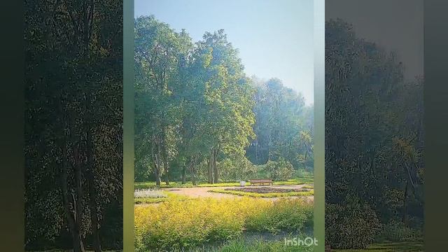 День красоты