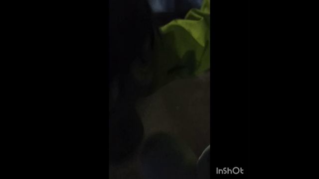 что блин??? кринж кринжатина посмотрите