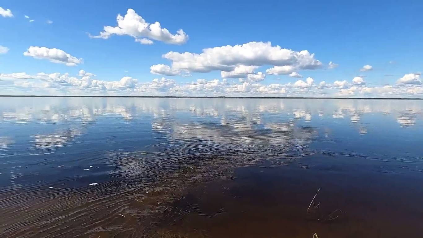 Рыбалка на Енисее спиннингом, рыбы просто тьма..