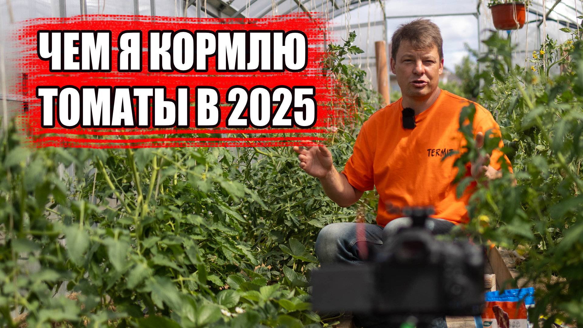 Профи универсальная схема подкормки томатов для мега урожая