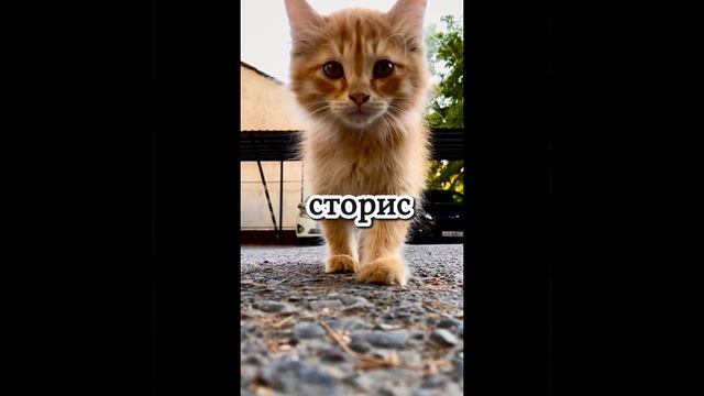 Почему ты одеваешь маски?