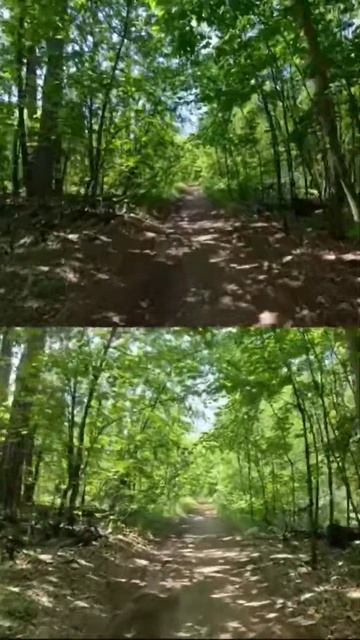 Compare Insta360 Ace Pro 2 and GoPro HERO 11