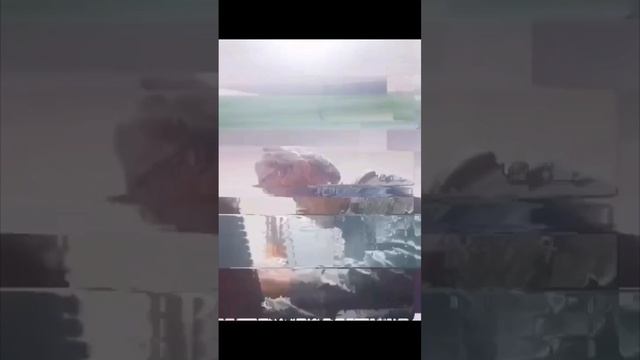 дверь