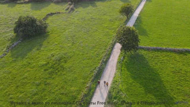 Земля будто разговаривает с вами через этот клип - Listening -- The Hipshakes -- Live at WFMU on Bur