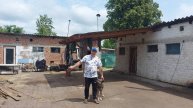 Саня Новиков. В этом году не будет!!! Что с Фионой