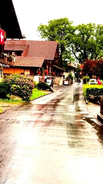 Камера зафиксировала эмоции
