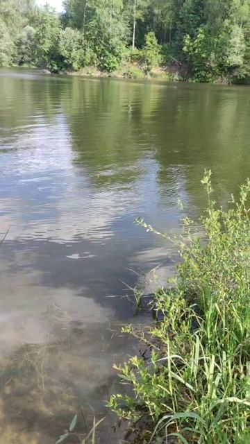 отличная погода