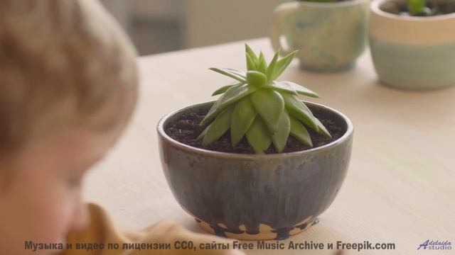 Секрет идеального релакса - здесь! - Silence By Sentence -- One Man Book -- Potlatch