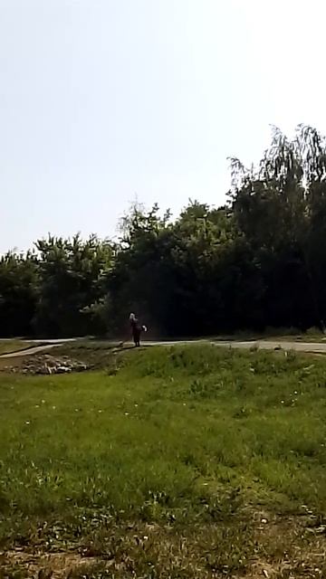 VID_2025-06-12-08-54-37-160