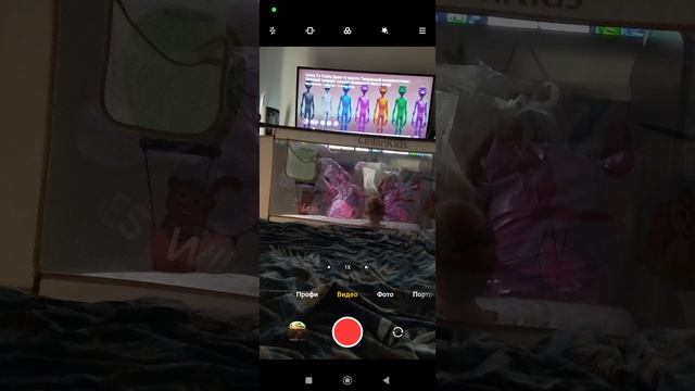 1000062480.mp4