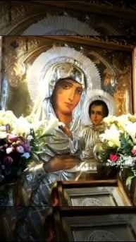 Like_7515796167528084507.mp4