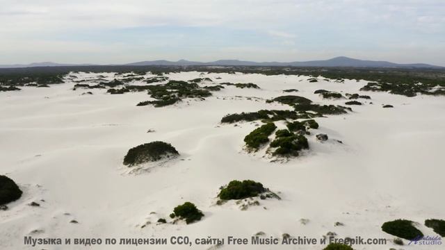Леса шепчут мелодии прямо в сердце - Hot Sand -- Independent Music Licensing Collective (IMLC) -- Ne