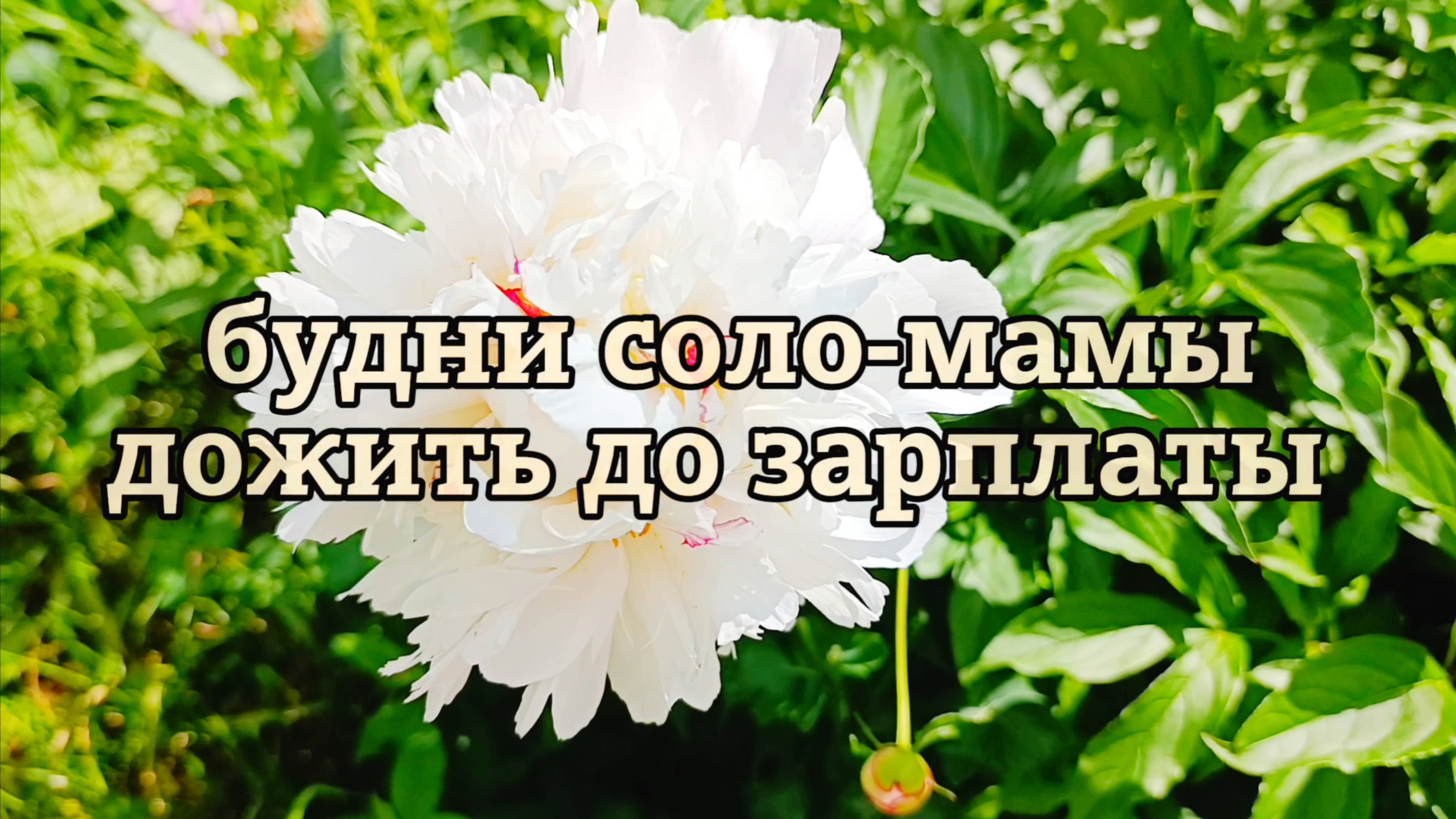 ОДНА С ДВУМЯ ДЕТЬМИ КАК ДОЖИТЬ ДО ЗАРПЛАТЫ