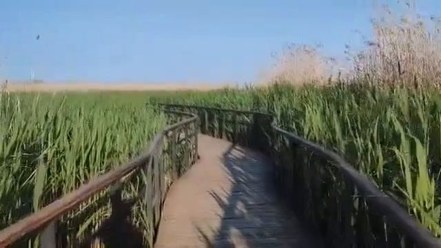 Бугаиная тропа в Лисьем носу