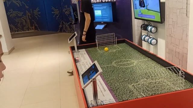 Роботы Сферо и СфероМини. РобоПарк. г. Тула. Ноябрь 2024 г.