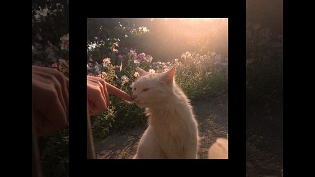 Melanie Martinez - Bombs on Monday Morning (speed up)