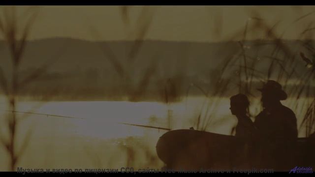 Мелодия, которая заставляет хотеть свернуть на любую неизвестную дорогу - Junk Vultures -- Exquisite