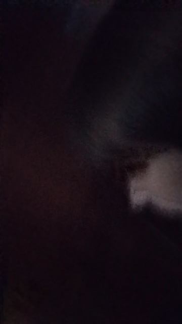 1000000169.mp4