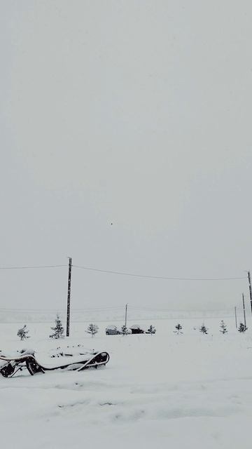 1000076446.mp4