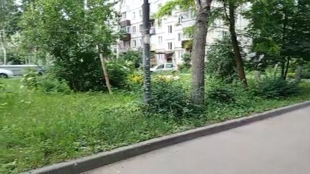 1000008575.mp4