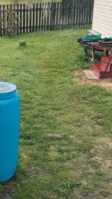 Погода не радует, но планы по дорожке уже есть