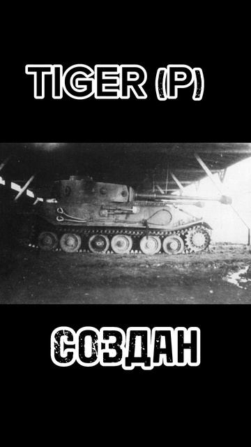 ВЕТКА МАУСА В REAL LIFE #wotblitz #танки #tanks #blitz #maus #7079 #shorts #short