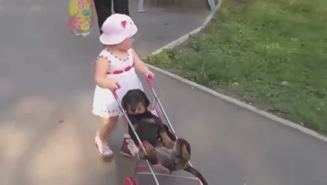 Жизнь удалась...