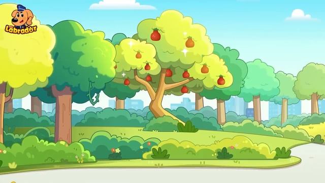 🫎Не засиживайтесь допоздна!|🎄Правила Безопасности детей|🔍Новый сборник мультиков|Шериф Лабрадор