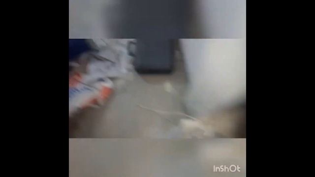 Подключение радиаторов стальными трубами.