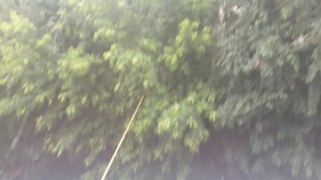 Сильный дождь с грозой 12.06.25