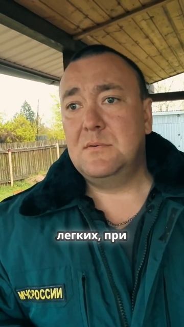Как сделать варенье и настойку из сосновых шишек от кашля