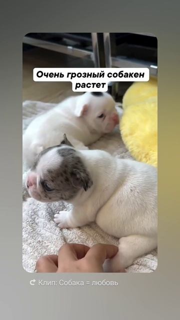 1000059902.mp4