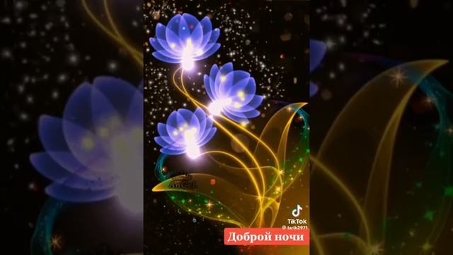 VID-20250613-WA0415
