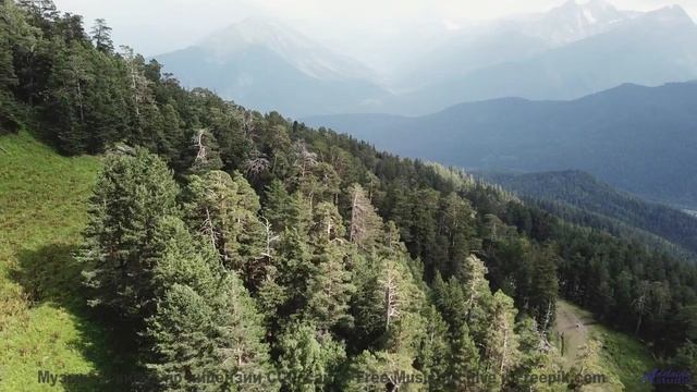 Почему спортсмены слушают это перед соревнованиями - Makes-Shift Salvation -- HoliznaCC0 -- Makeshif