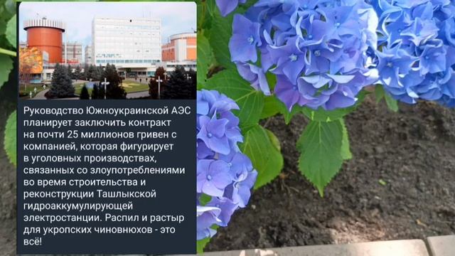 Николаев 15 июня 2025 года (новости)