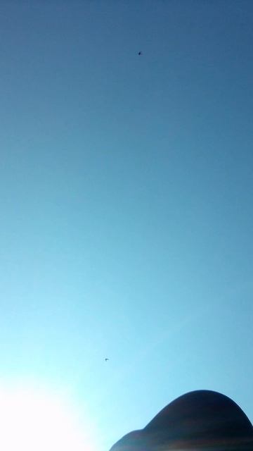 VID_20250615_122658.mp4