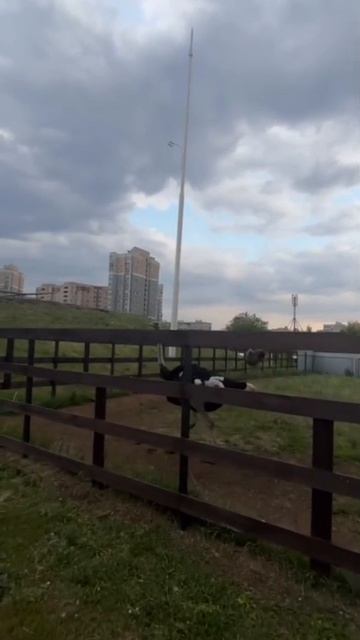 Обычная заправка в Оренбурге на Загородном шоссе