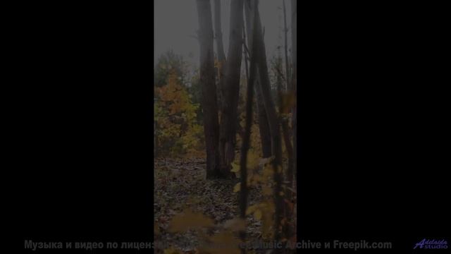 Путешествие, музыка и вы - что может быть лучше - j-aime la musique -- Jean Toba -- first times