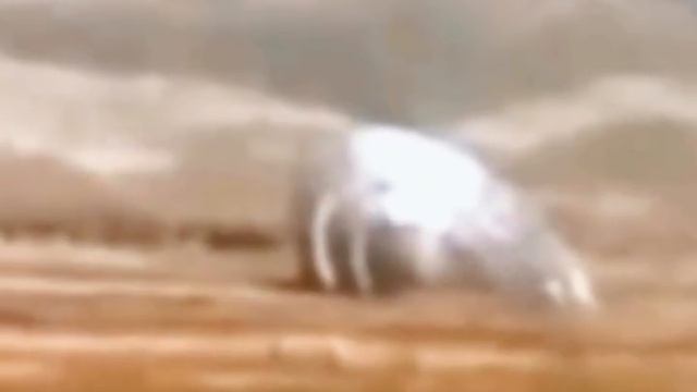 Несколько НЛО в Пустыне Невады