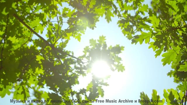 Звуки, которые ВХОДЯТ в разум. - Conditional -- Tadz -- Soul Symphonies Vol.1